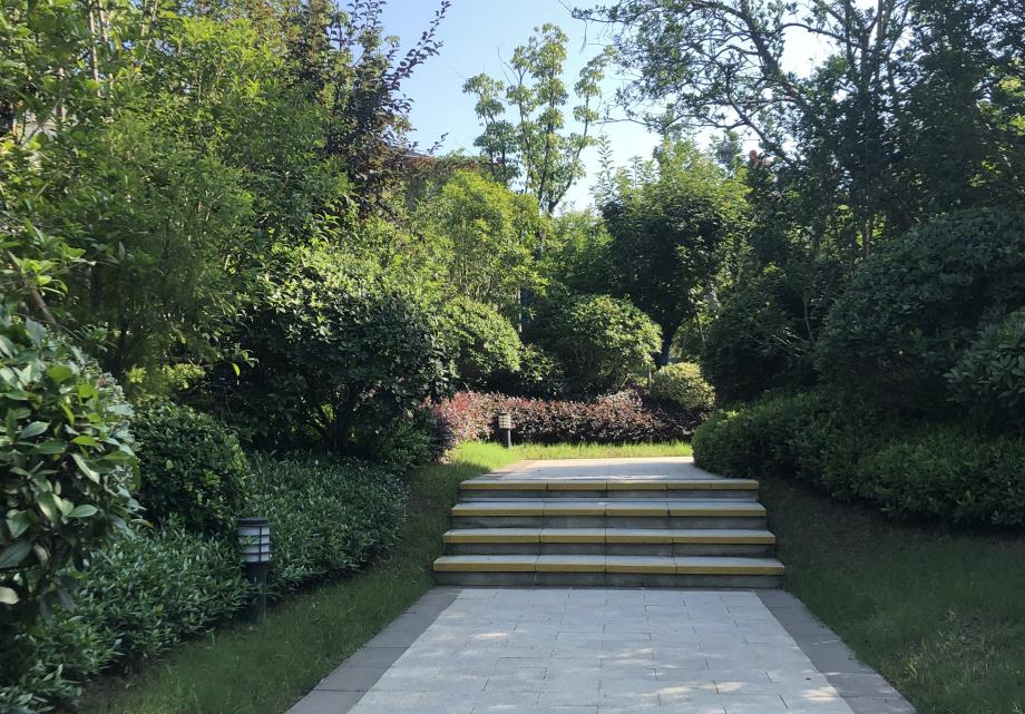 湖北凱蒂園林 湖北凱蒂園林