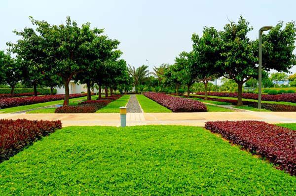 園林綠化中幾何色塊的出“彩”設計