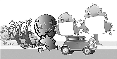 省生態(tài)環(huán)境廳、省公安廳來(lái)我市調(diào)研機(jī)動(dòng)車(chē)污染防治工作