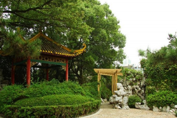 如何讓土地“變肥”，讓樹苗“夠吃”？