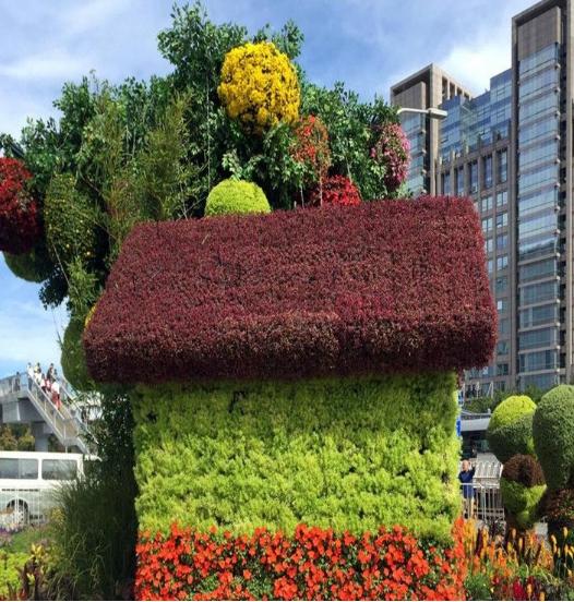 如何用五色草造高顏值花壇，湖北凱蒂園林告訴你技巧