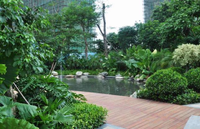 襄陽園林公司分享栽樹五大誤區(qū)，您中招了嗎？ 