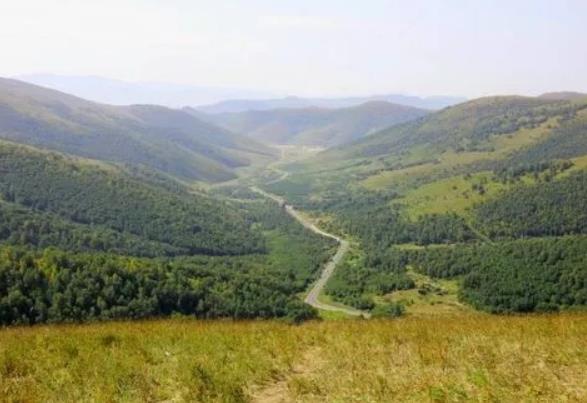 國家森林公園被“毀容”，誰在選擇性“失明”？