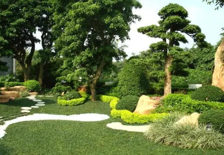 園林景觀設計之植物墻設計在哪些地方適合？