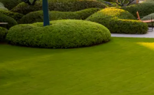 園林規(guī)劃的常見設(shè)計內(nèi)容有哪些？